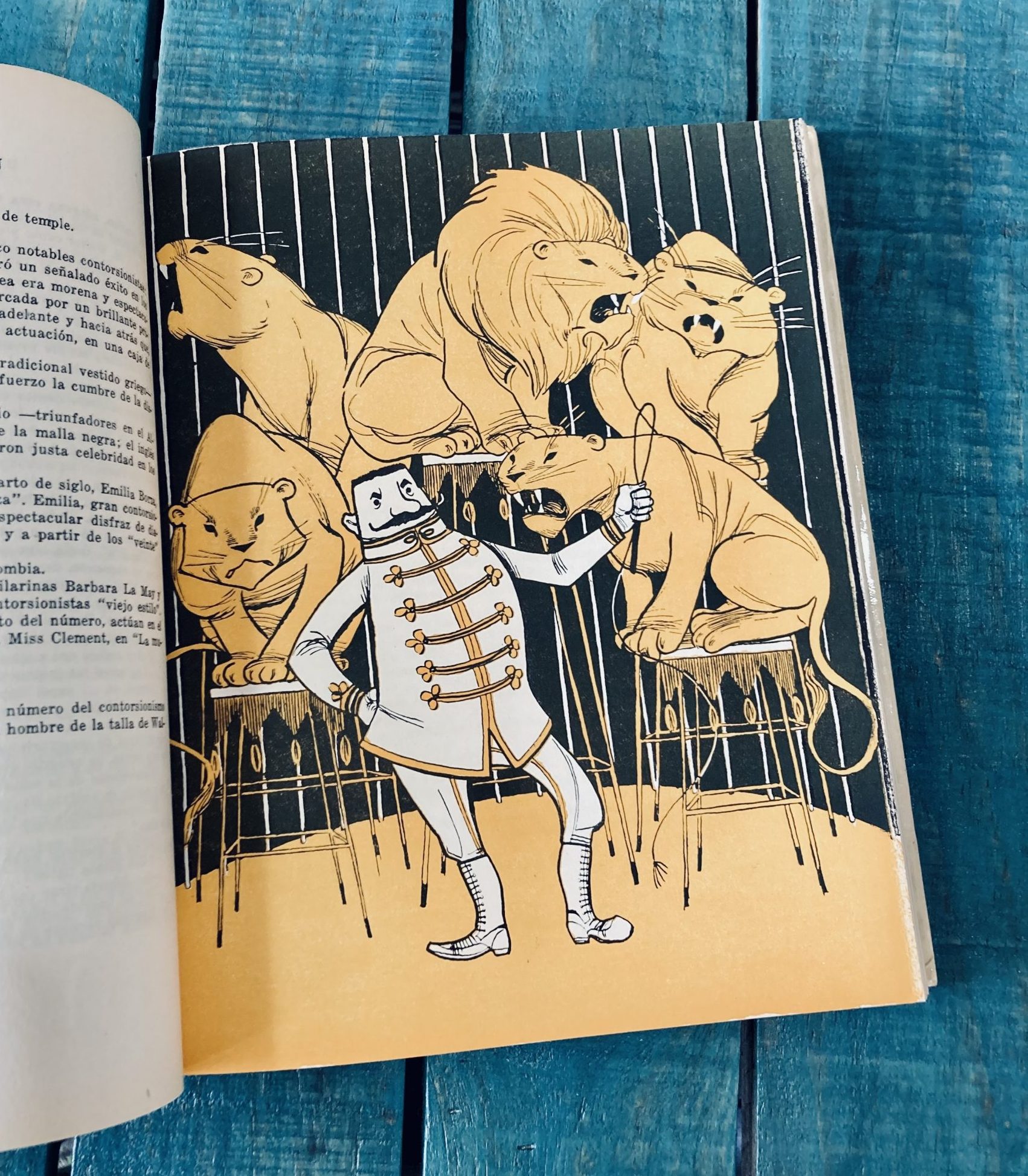 ARMIÑÁN DE JAIME. BIOGRAFÍA DEL CIRCO - Image 4