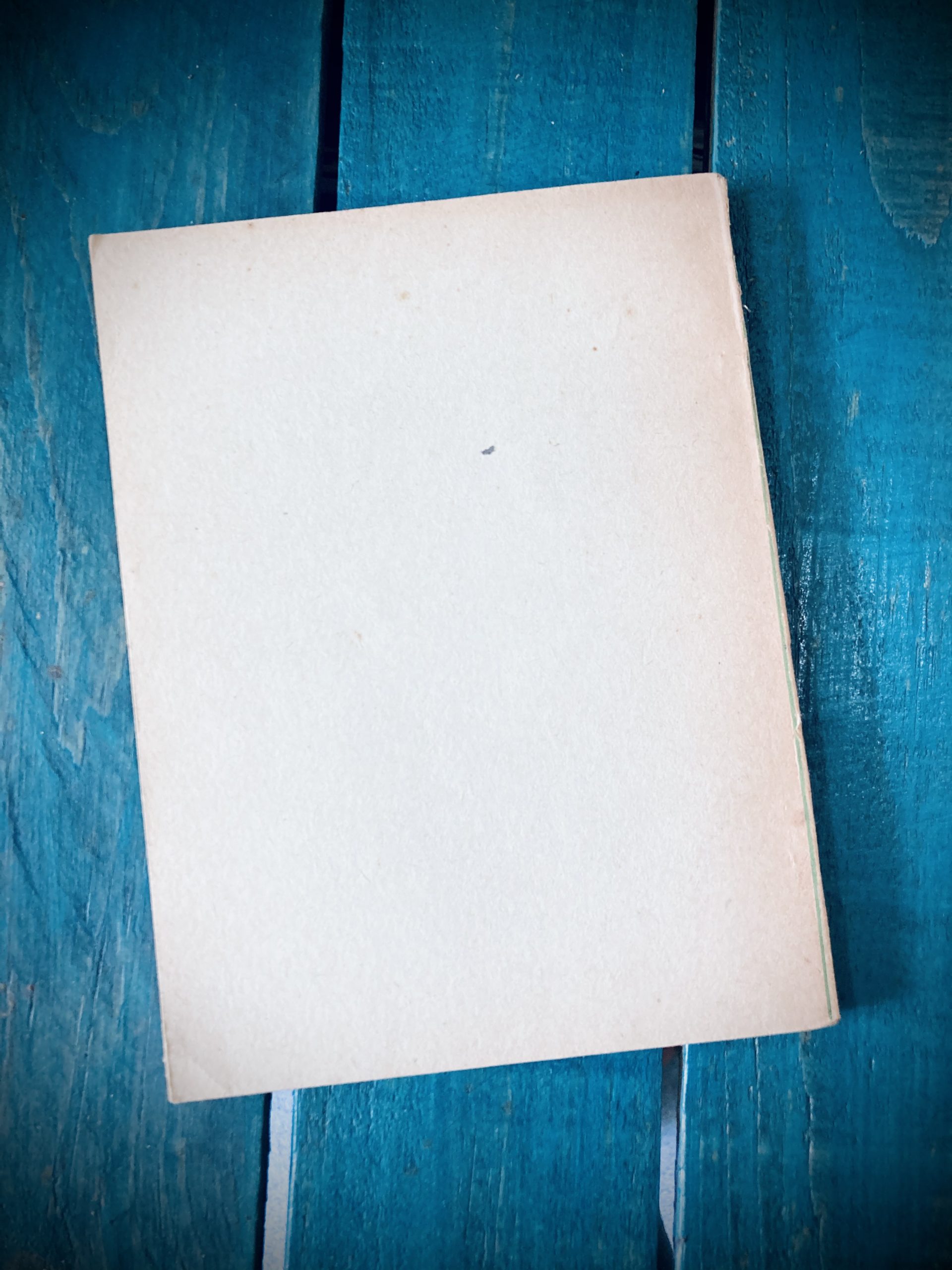 VELÁZQUEZ DE LEÓN JOSEFINA. 12 INDUSTRIAS EN EL HOGAR - Image 3