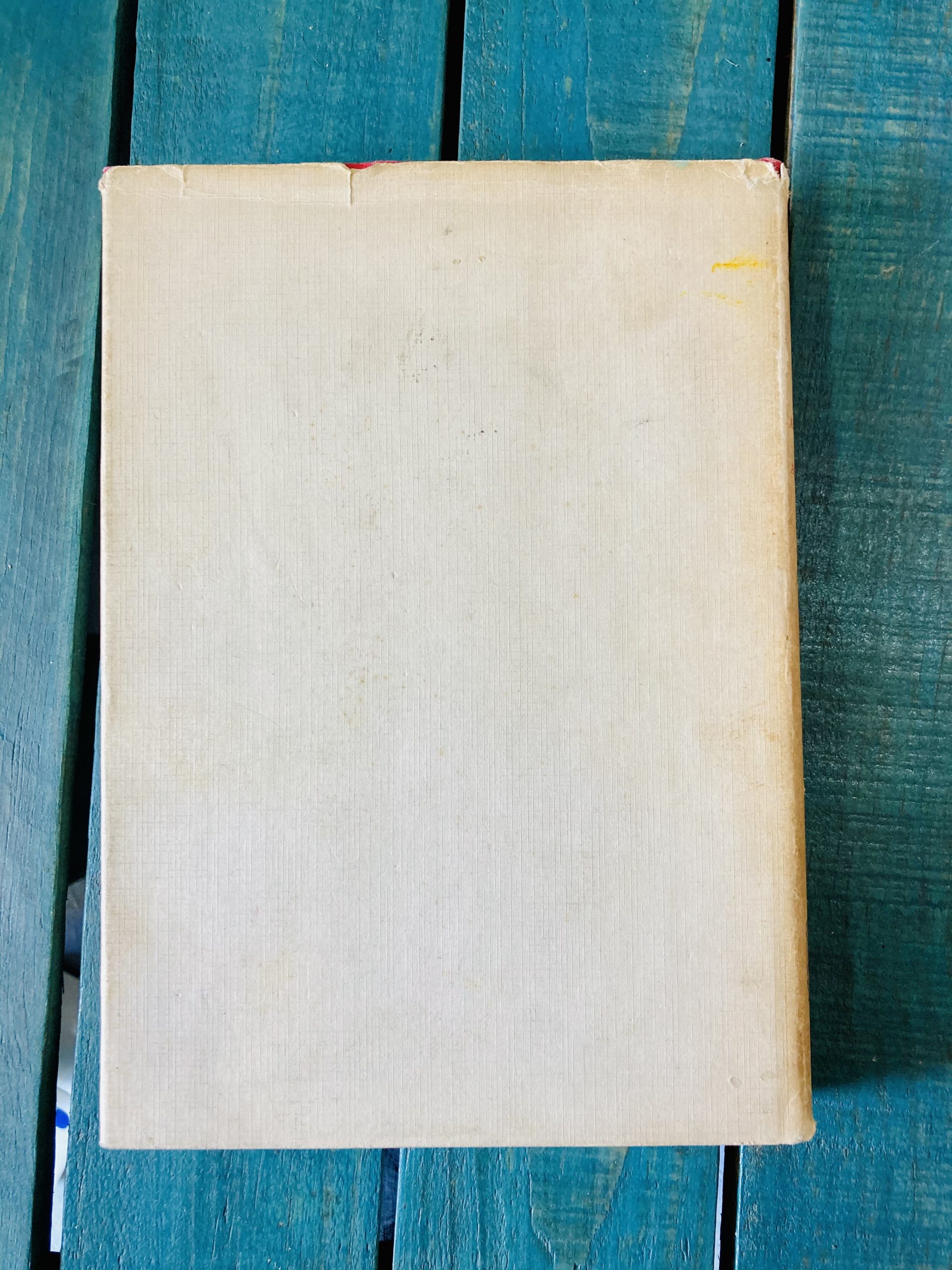 AUGURIOS Y ABUSIONES - Image 4