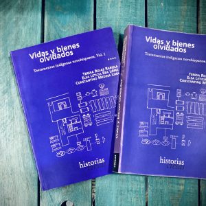 VIDAS Y BIENES OLVIDADOS. TESTIMONIOS INDÍGENAS NOVOHISPANOS