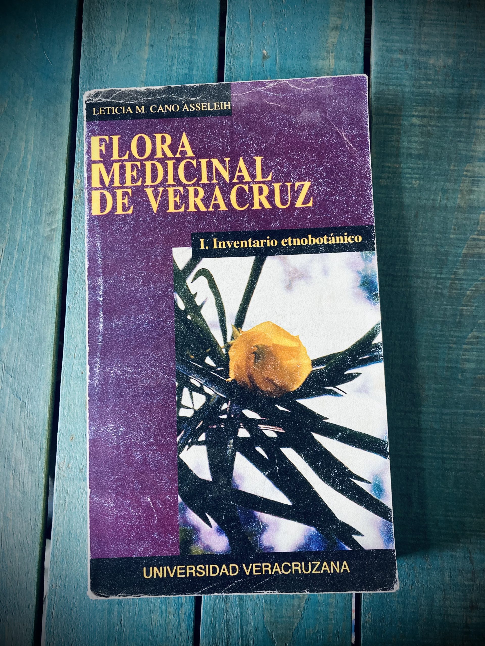 CANO ASSELEIH LETICIA M. FLORA MEDICINAL DE VERACRUZ. I. INVENTARIO  ETNOBOTÁNICO -