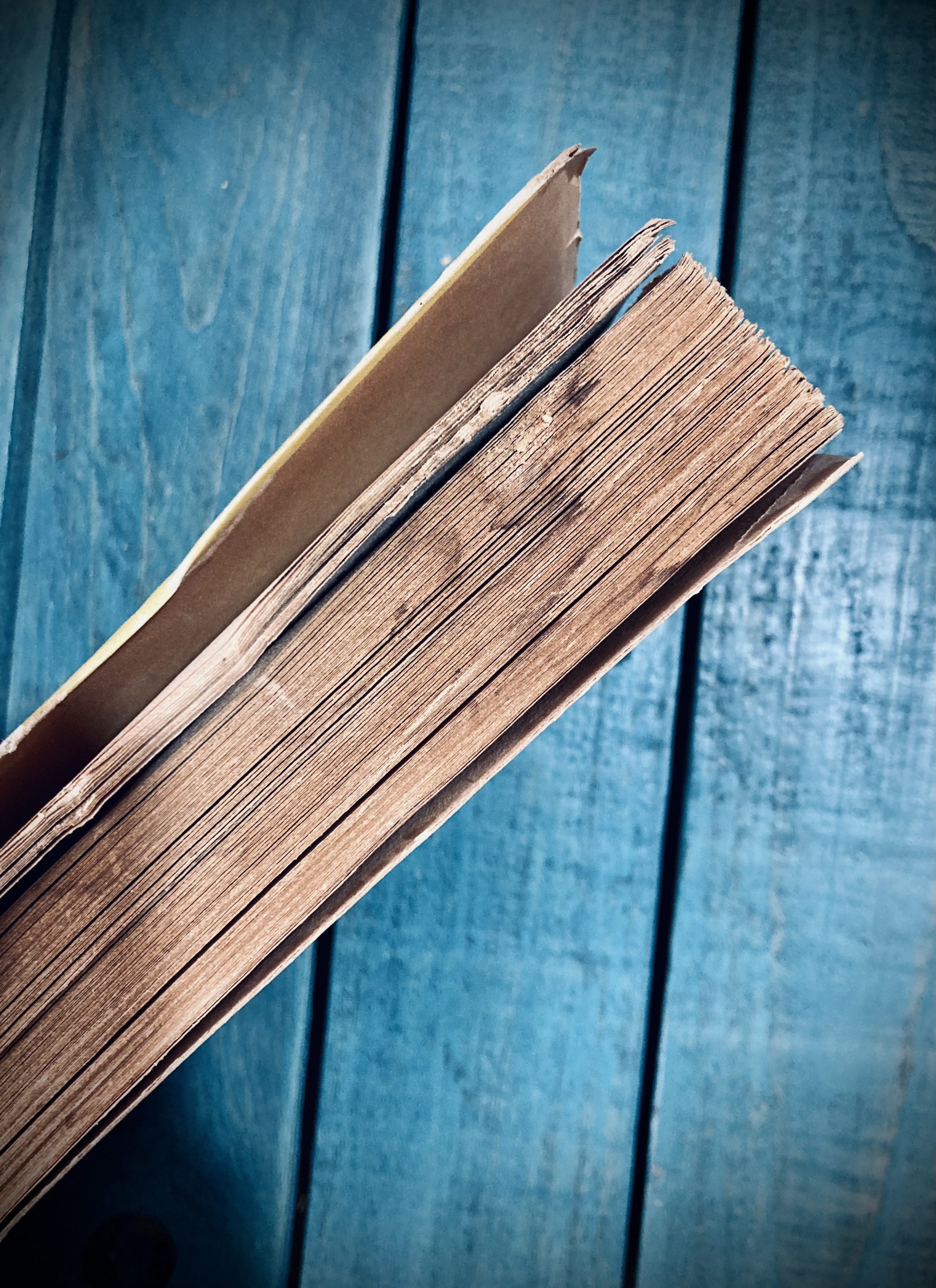 ARIAS-CARBAJAL PÍO. PLANTAS QUE CURAN Y PLANTAS QUE MATAN - Image 5