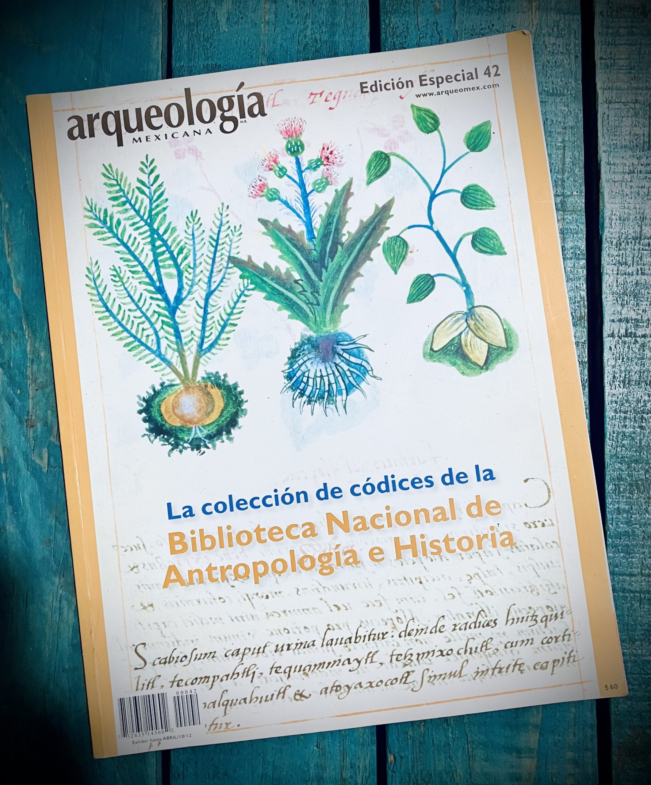 LA COLECCIÓN DE CÓDICES DE LA BIBLIOTECA NACIONAL DE ANTROPOLOGÍA E HISTORIA