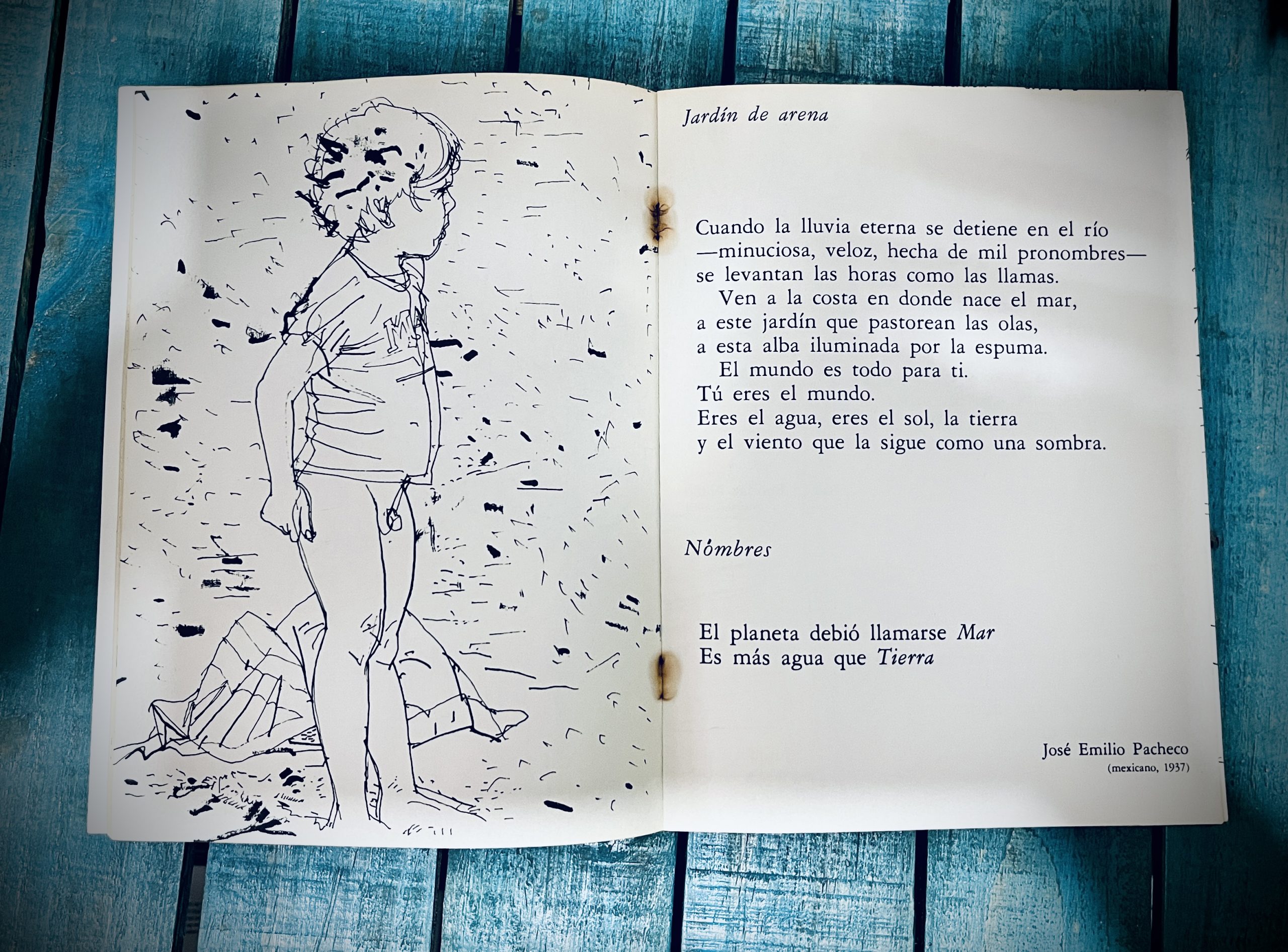 BECERRA GABRIELA Y CASTRO LEÑERO ALBERTO. EL LIBRO DEL MAR - Image 3
